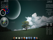 Gnome Ubuntu 10.04 com awn e scree...